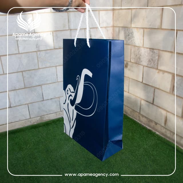 نمونه طراحی و چاپ بگ کاغذی گلاسه با روکش سلفون برای شرکت دنیای ماموت